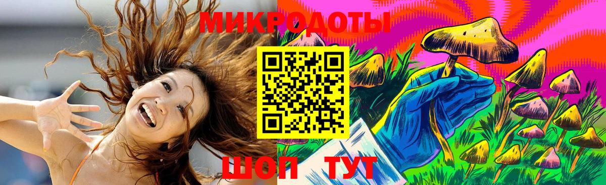 Псилоцибиновые грибы Psilocybe Добрянка