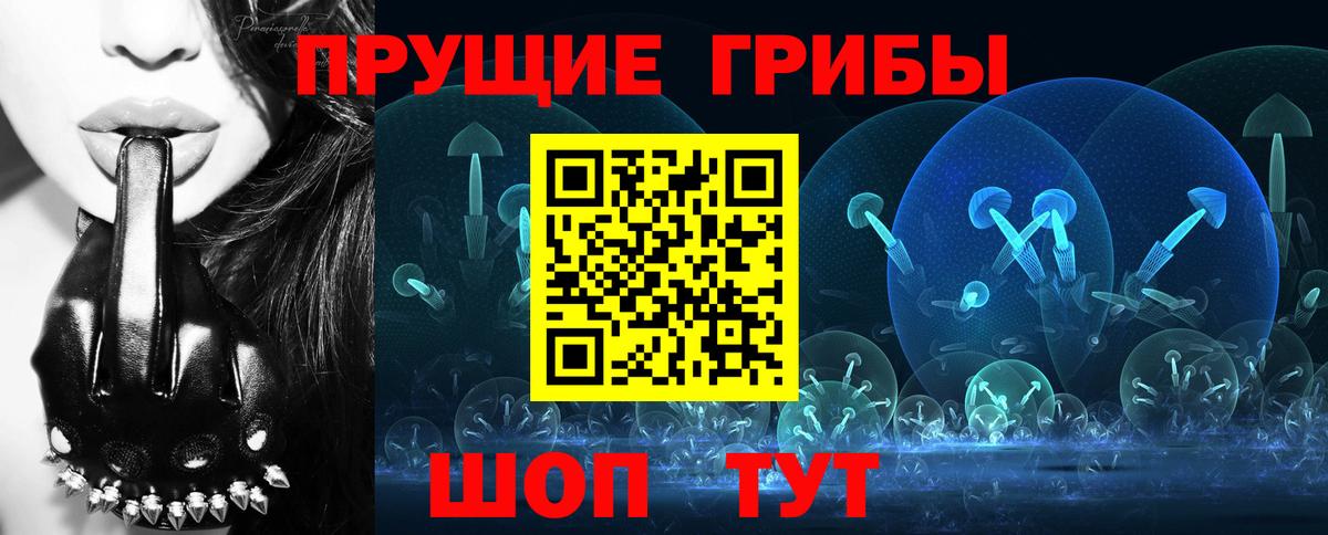 купить   Галлюциногенные грибы GOLDEN TEACHER  Вход с VPN  Псилоцибиновые грибы Psilocybe  Добрянка 